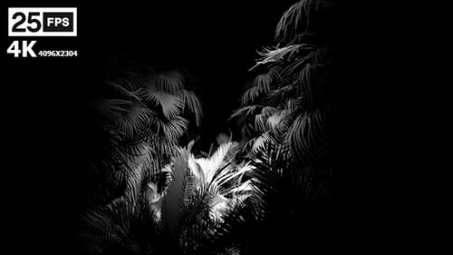 Fluid Palm Leaves Abstract Background Loop