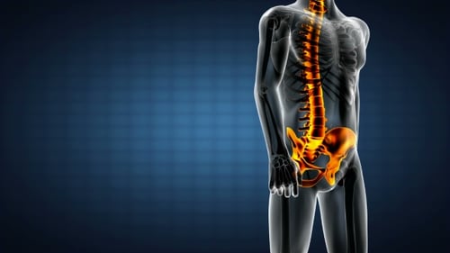 Human Bones Radiographic Scan
