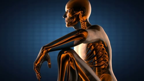Human Bones Radiographic Scan