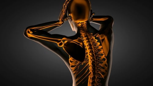 Human Bones Radiographic Scan