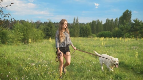 Young Attractive Sporty Woman Running with Her Dog in Park at Country Side.