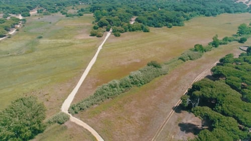 Aerial View Green Rural Landscape