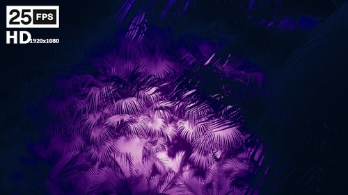 Abstract Neon Glowing Palm Leaves Background Animation
