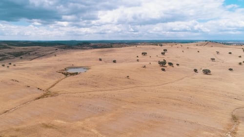 Aerial View Rural Landscape