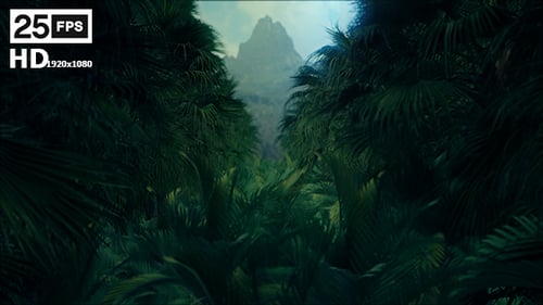 Tropical Jungle Forest Path with Distant Mountain