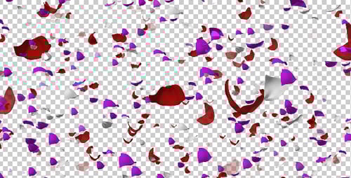 Falling Red Purple White Rose Petals Motion Background