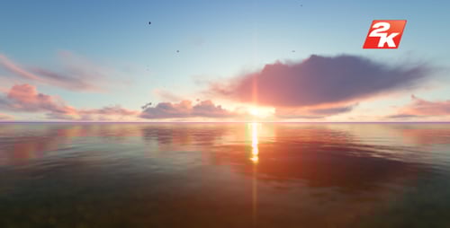 Sunset Ocean and Birds