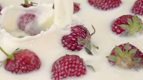 Reife Erdbeeren mit der Milch.
