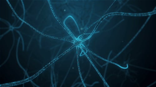 Neuronenzelle in Synapse