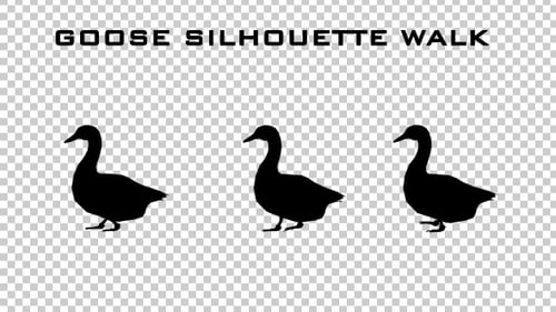 Goose Silhouette Walk Animation