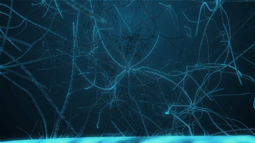 Neurons in Synapse