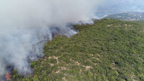 Aerial View of Burning Bushes in the Hills