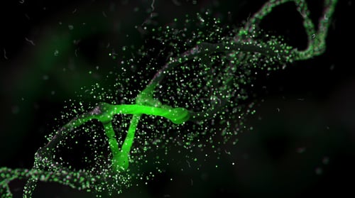 DNA Rotate Green Pack 2 In 1