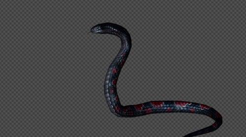 KingCobra Attack Pack 01 4 en 1