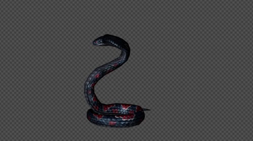 KingCobra Attack Pack 02 4 in 1