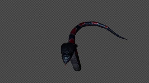 Pack d'attaque KingCobra 03 5 en 1