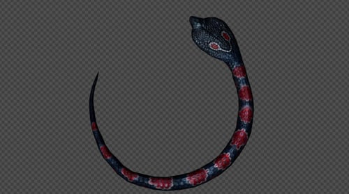 KingCobra Attack Pack 04 5 en 1