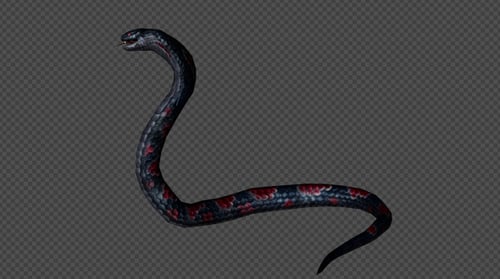 KingCobra Get Up Pack 4 en 1