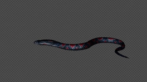 Pack de ralenti KingCobra 02 4 en 1