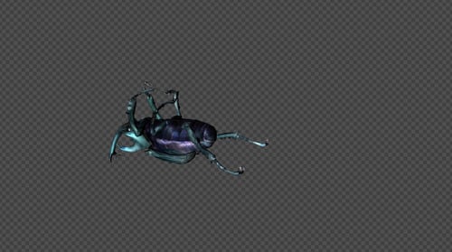Blue GiantBeetle Die Pack 4 In 1