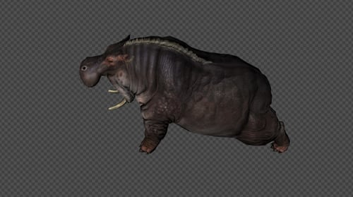 3D Animated Fantasy Hippopotamus Creature with Alpha Channel