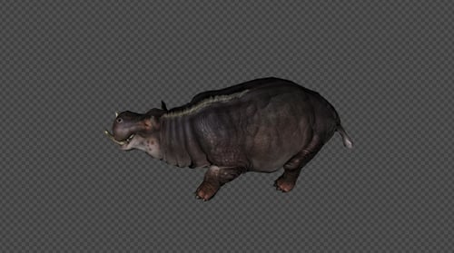3D Animated Fantasy Wild Boar Posing Actions with Alpha Channel
