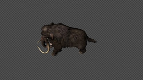 Animated Woolly Mammoth Walk Cycle with Alpha Channel