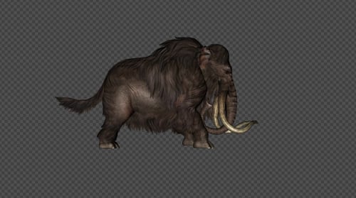Paquete de disparo de mamut 4 en 1