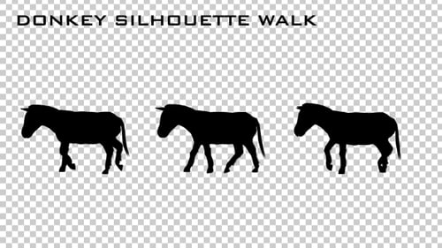 Donkey Silhouette Walk Animation