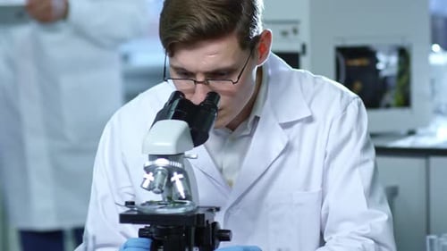 Serious Man Studying Plant Specimen