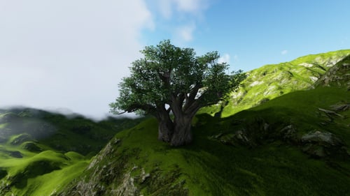 Green Mountains and Tree