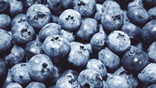 Blueberries Rotating. Fruit Background.