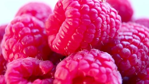 Juicy Fresh Raspberries.. Raspberries Fruit Background. Shot.