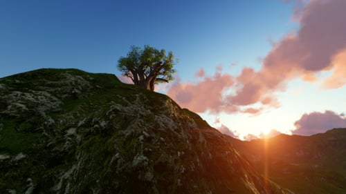 Majestic Sunrise Time-Lapse Over Green Hills with Solitary Tree