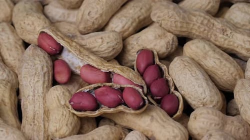 Close Up of Pile of Peanuts in Shells