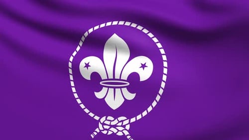 Etiqueta WOSM 4K