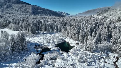 Wintermorgen in der Natur