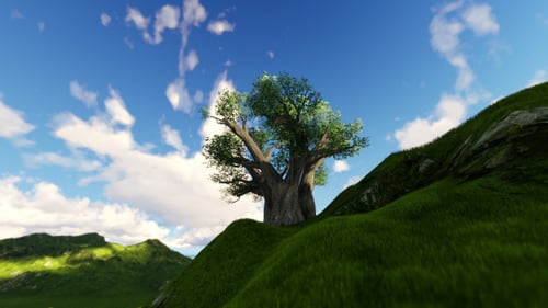 Green Mountains and Sunny Weather