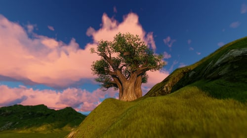 Majestic Tree on Grassy Hill Under Dynamic Sky Loop