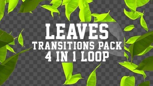 Organic Green Leaves Falling Transition Reveal