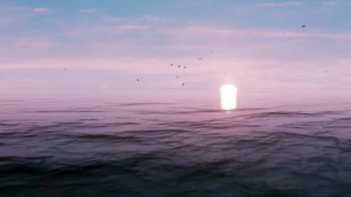 VR 360 Degree Panorama - Ocean Sunset - Seagulls