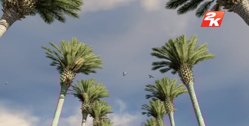 Tropical Palm Trees Swaying Under a Dynamic Sky Loop