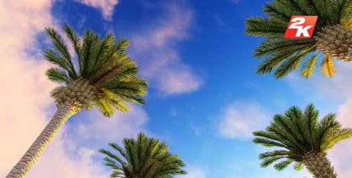 Tropical Palm Trees and Birds Flying in Blue Sky