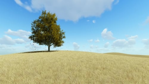 Einzelner Baum im Herbst, fallende Blätter