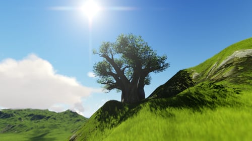 Animated Baobab Tree on Grassy Hill with Dynamic Sky