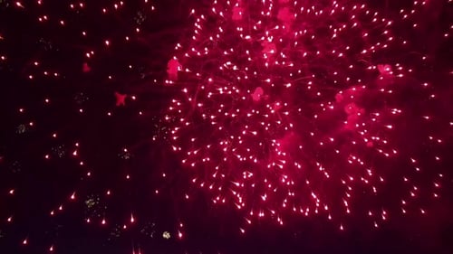 Golden and Red Fireworks Exploding in Night Sky