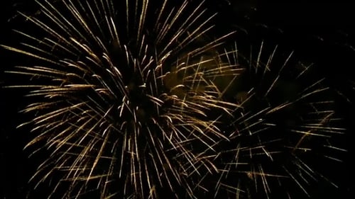 Beautiful Fireworks Exploding in the Night Sky