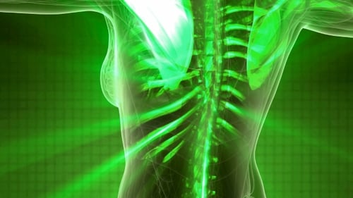Futuristic Glowing Human Skeleton and Nervous System Scan