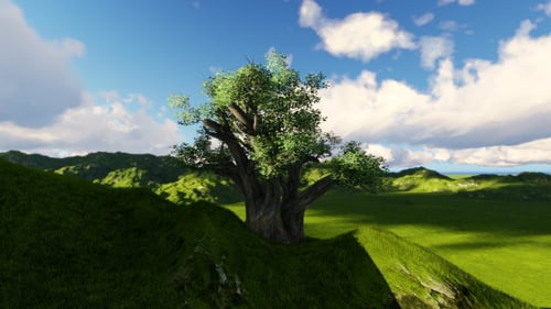 Tree and Clouds