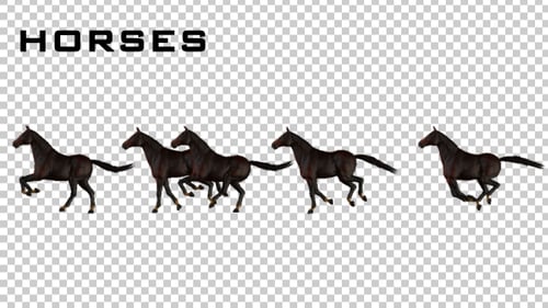 Animated Galloping Horse Silhouettes